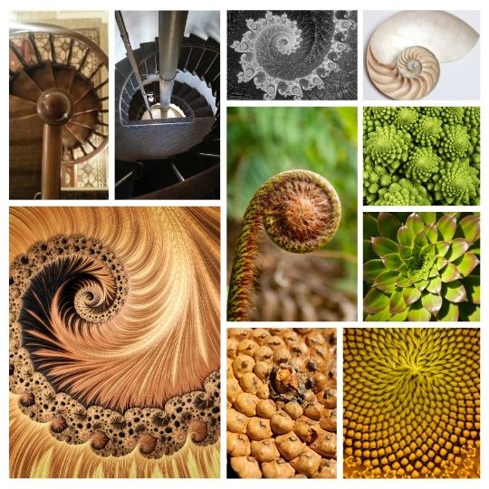 The Fibonacci Sequence and The Golden Ratio in Home Design