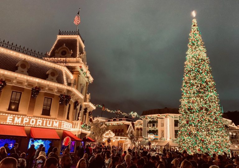 A Lesson for Home Builders from Disney on Customer Experience